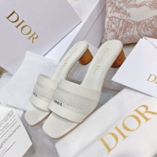 Christian Dior Slippers